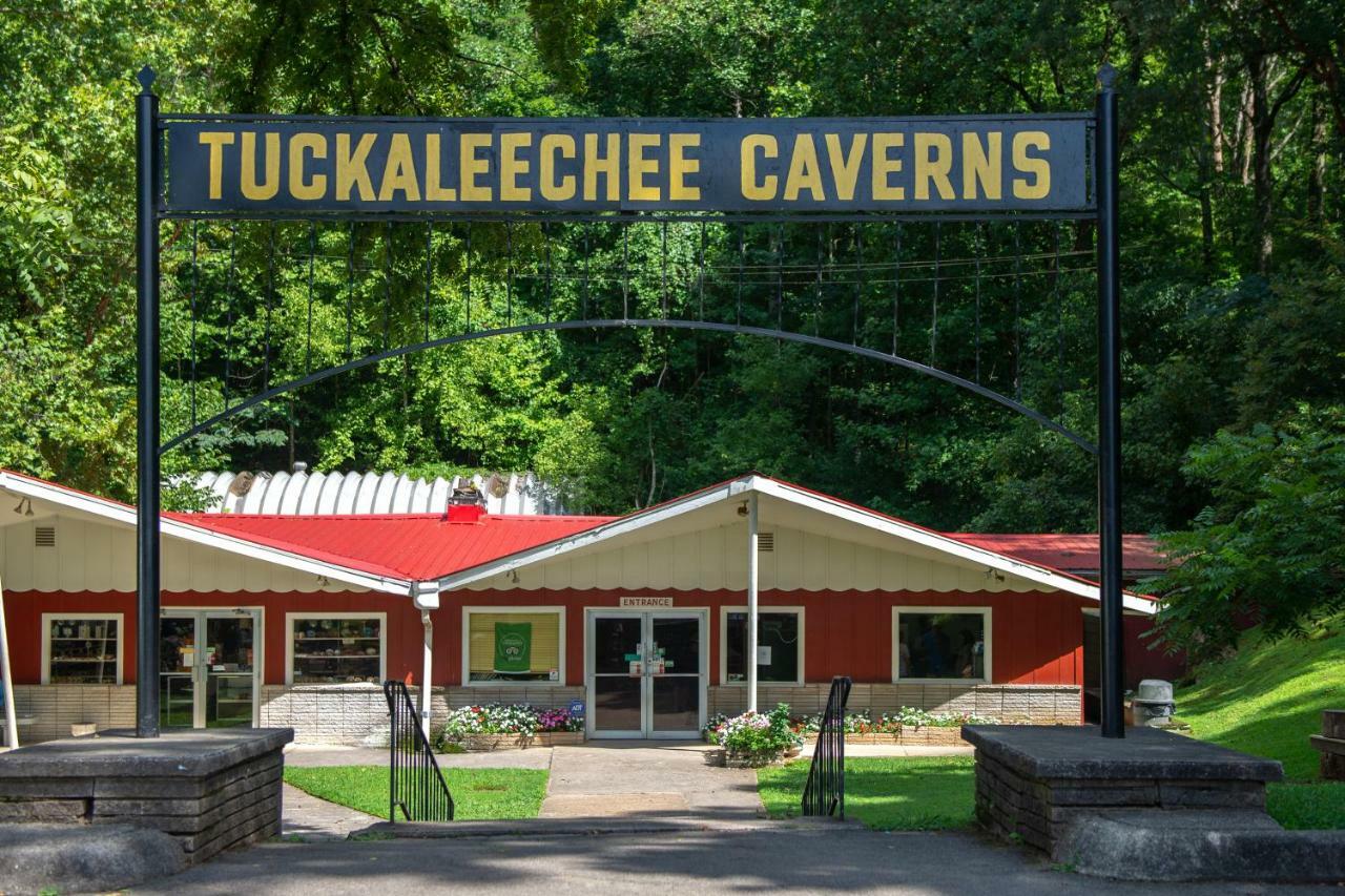 Twin Cub Lodge Tuckaleechee Exteriör bild